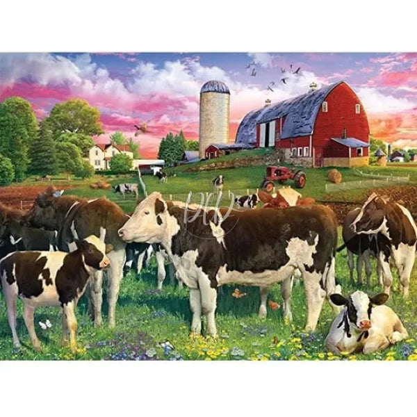 Farm Cow