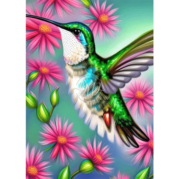 Flower Hummingbird