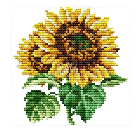 Flowers Sunflower