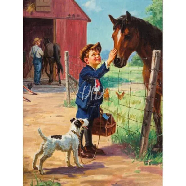 Horse Little Boy