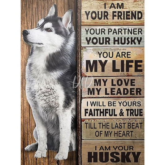 Husky Dog English