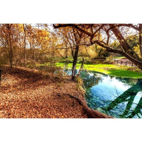 Narrow Creeks Landscape 75X50Cm(Size) 1000Pcs Paper Jigsaw Puzzles