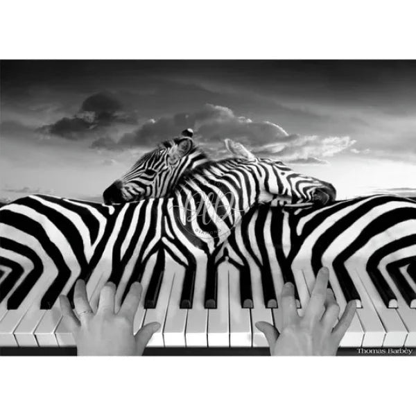 Piano Zebra