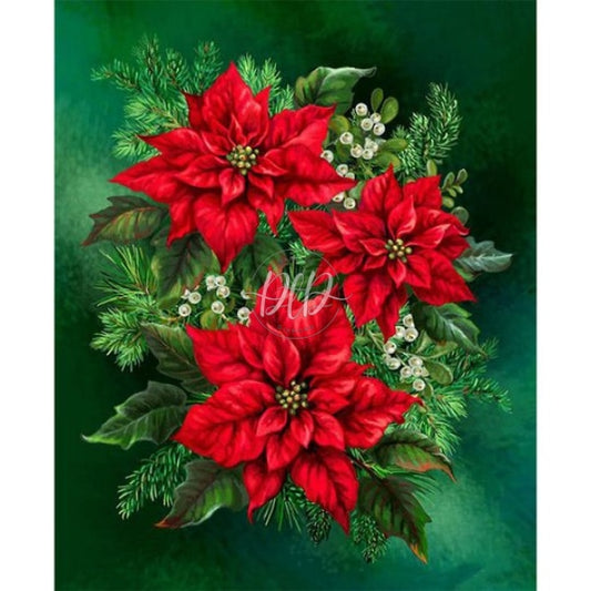 Poinsettia