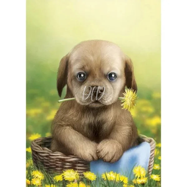 Puppy In The Flowers