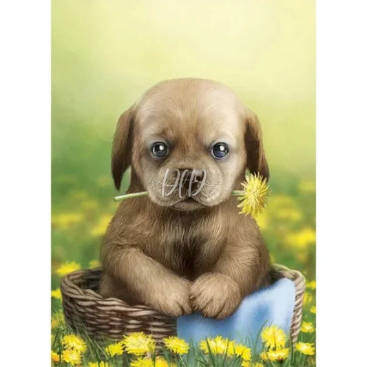 Puppy In The Flowers