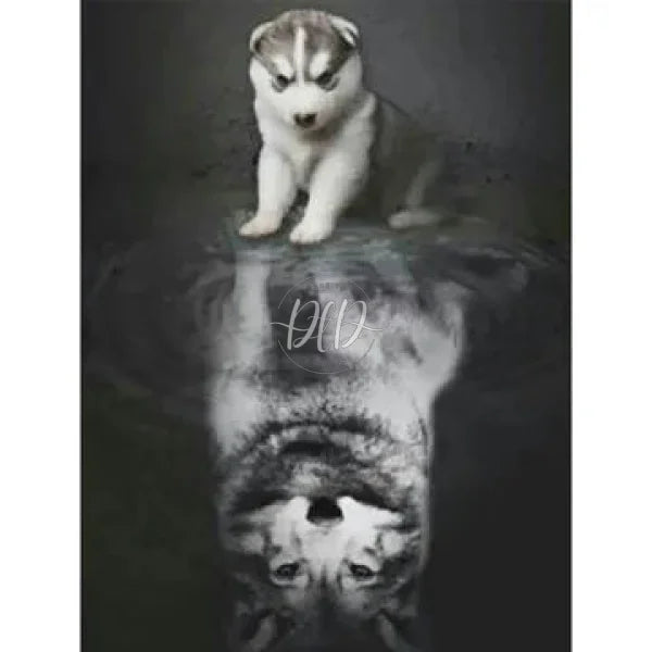 Puppy Reflection Wolf