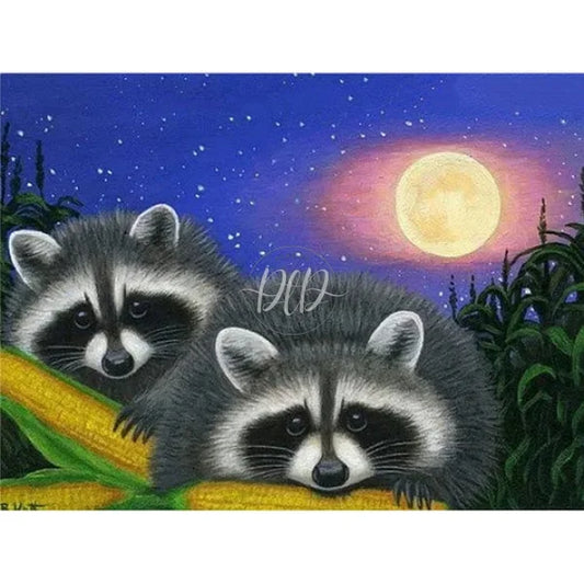 Raccoon Eating Corn