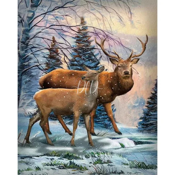 Snow Elk