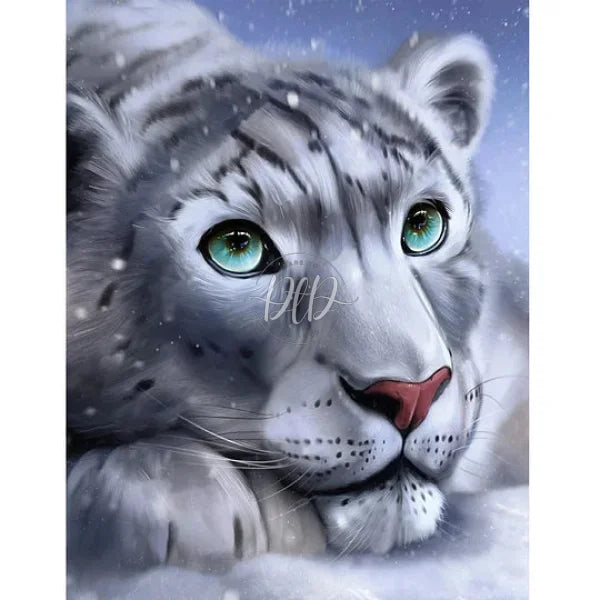 Snow Leopard