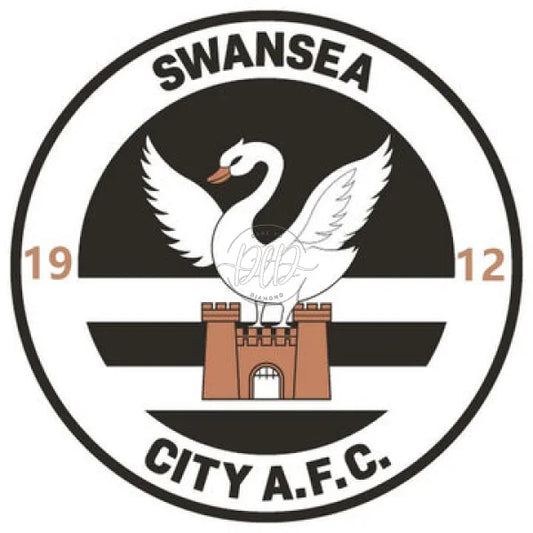 Swansea City Football Association