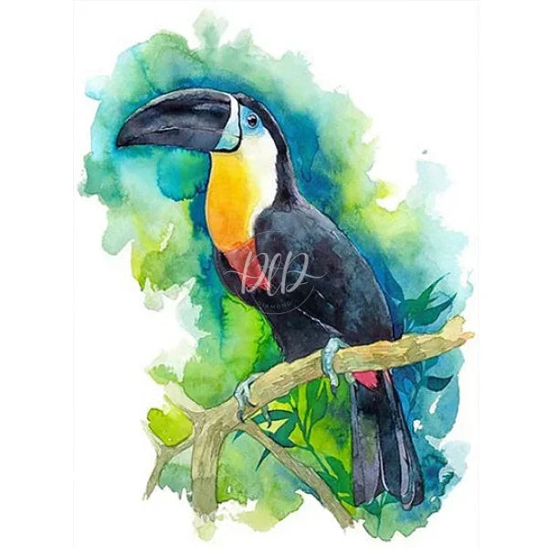 Toucan