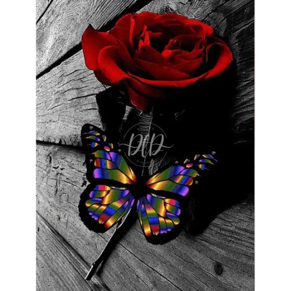 Valentines Day Butterfly Rose