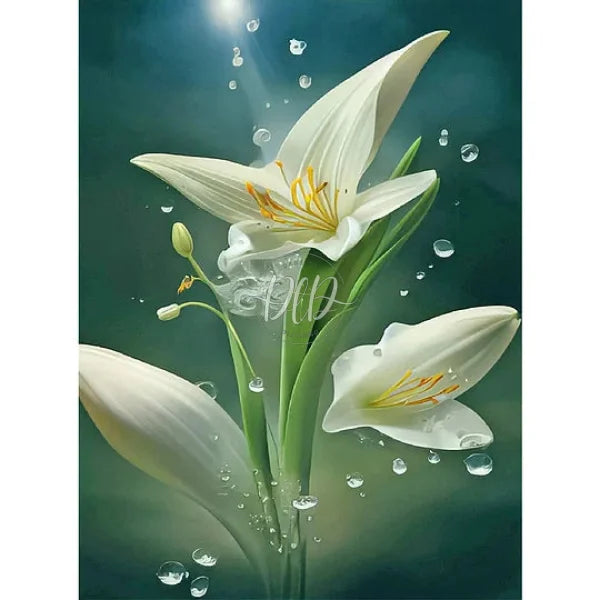 White Lily