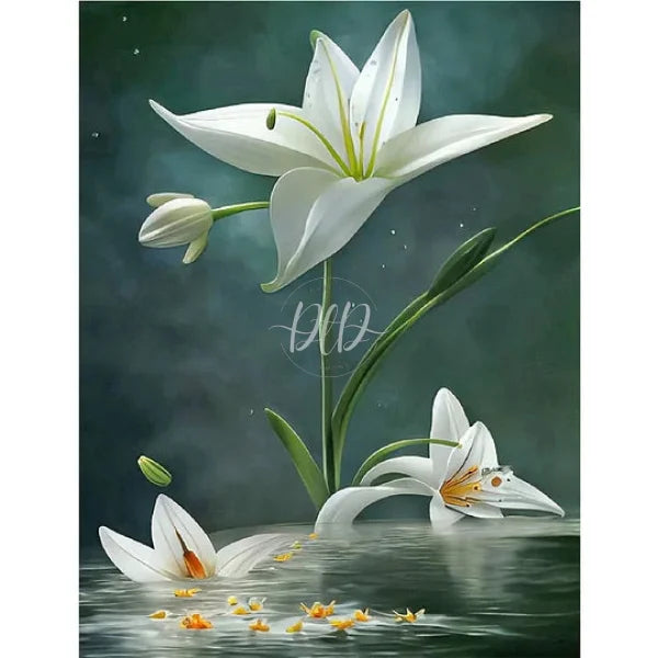 White Lily