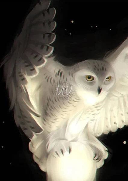 White Owl