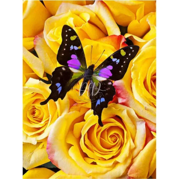 Yellow Rose Butterfly